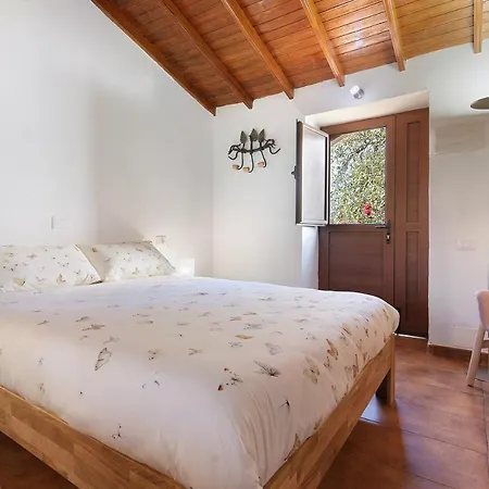 La Casita De Abuela Paula شقة